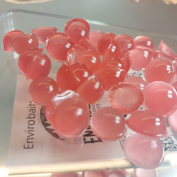 Biogummi – Shrimpocalypse Dome’s 35st - Bild 8