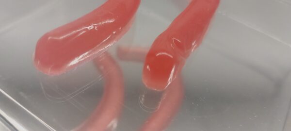 Biogummi – Shrimpocalypse - Sticks - Bild 2
