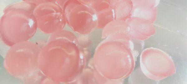 Biogummi – Shrimpocalypse Dome’s 35st - Bild 3