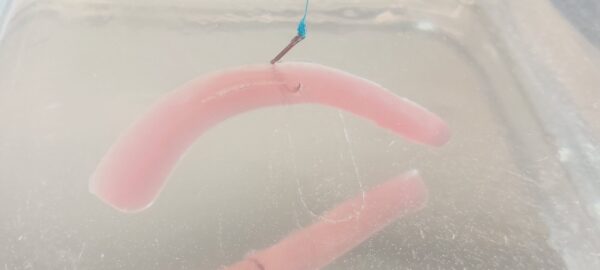 Biogummi – Shrimpocalypse - Sticks - Bild 3